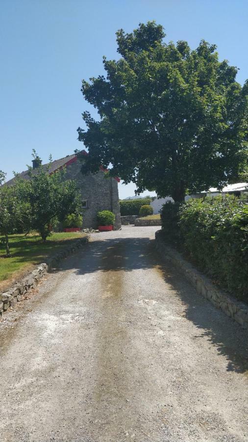 Tig Rua Villa Killarney Eksteriør billede